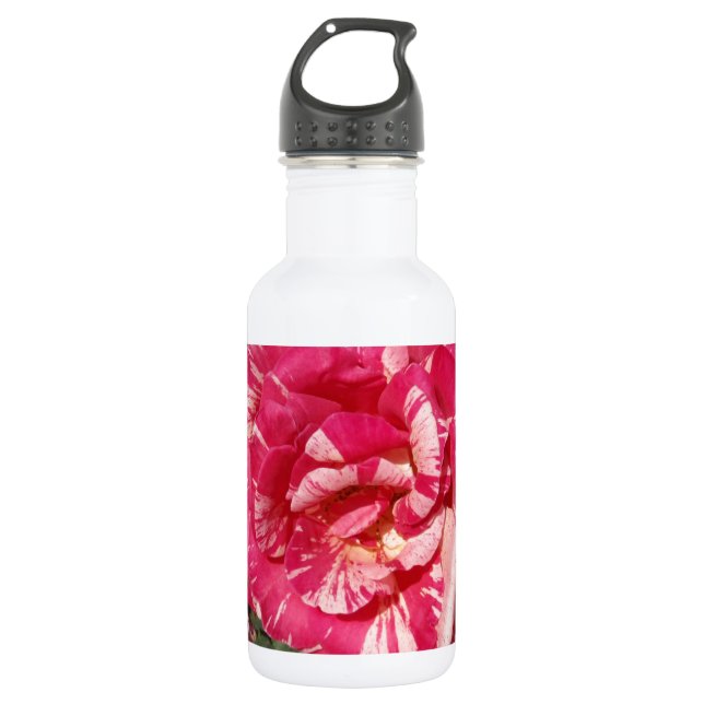 Red and Cream Rose 532 Ml Water Bottle (Front)