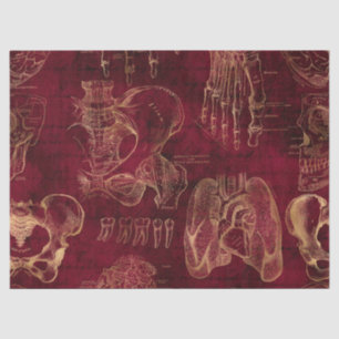 Red and Gold Anatomy Drawing on Red Decoupage Tissue Paper