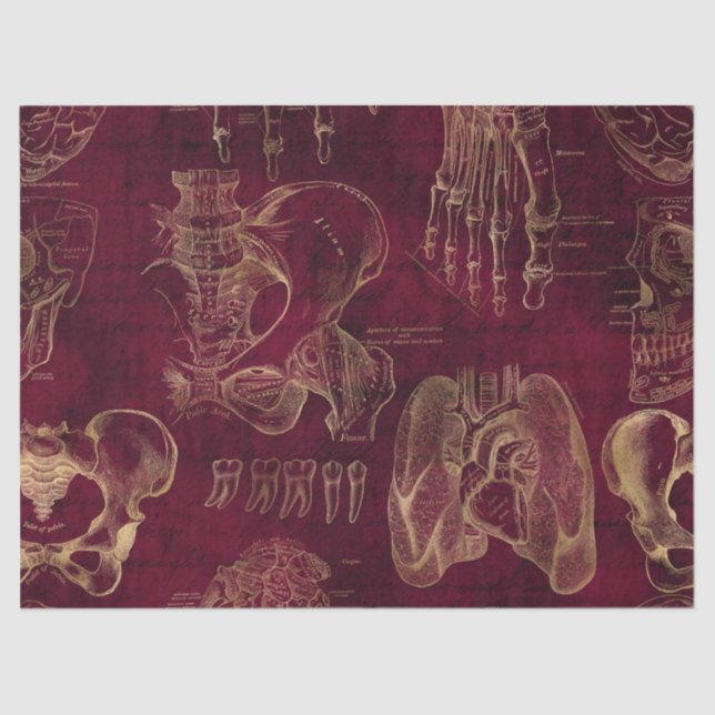 Red and Gold Anatomy Drawing on Red Decoupage Tissue Paper (Front)