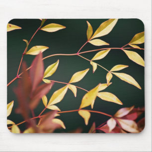 Red and Gold Mousepad