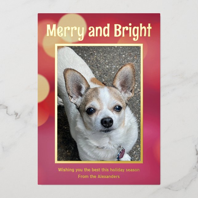 Red and Gold Photo (Front)