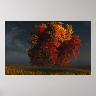 Red and Gold Poster