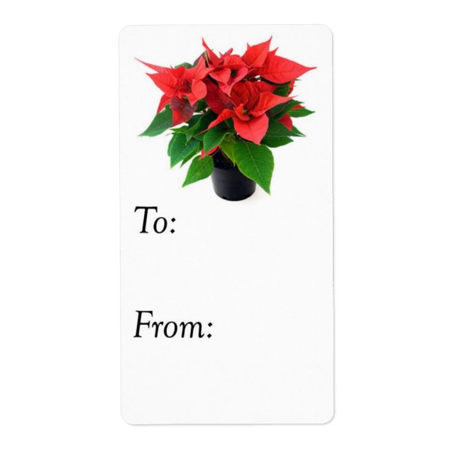 Red and Green Christmas Poinsettia Gift Tag (Front)