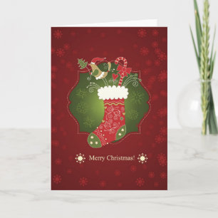 Red And Green Christmas Stocking Holiday Card
