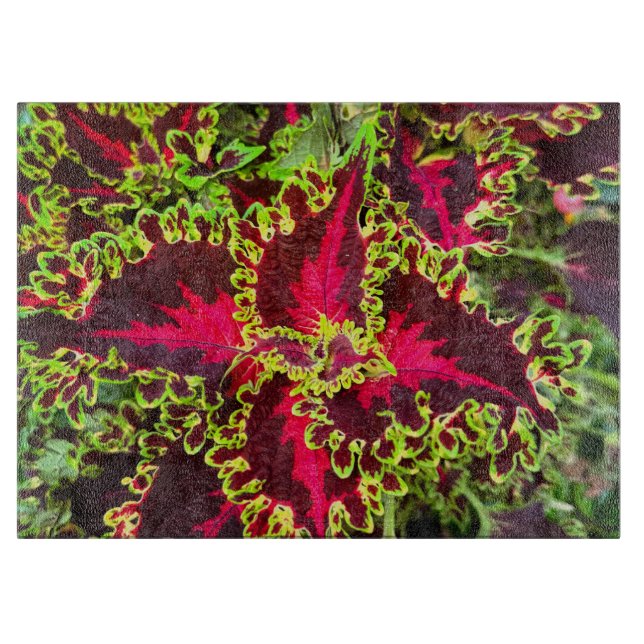 Red and green Coleus plant  Cutting Board (Front)