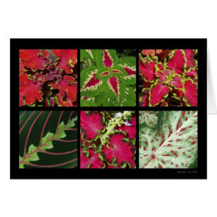 Red And Green Foliage Card