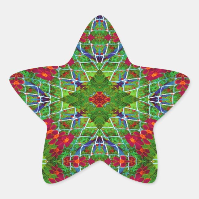 Red and Green Geometric Design Star Sticker (Front)