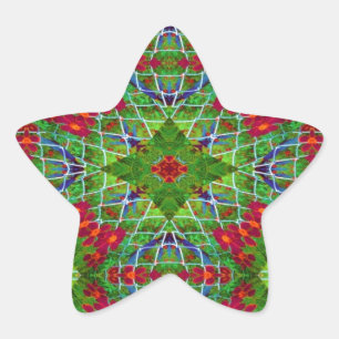 Red and Green Geometric Design Star Sticker