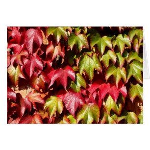Red and green leaves