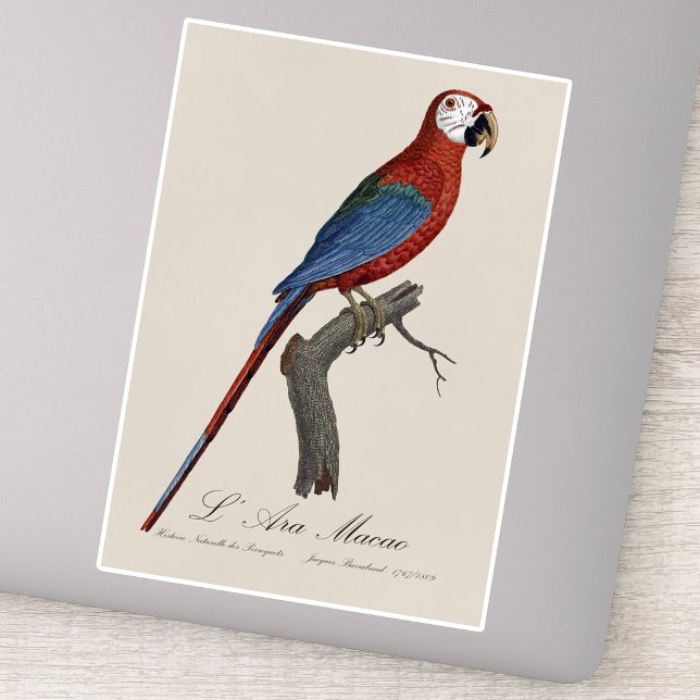Red-and-green Macaw, Ara chloropterus (Red-and-green Macaw, Ara chloropterus. Sticker)
