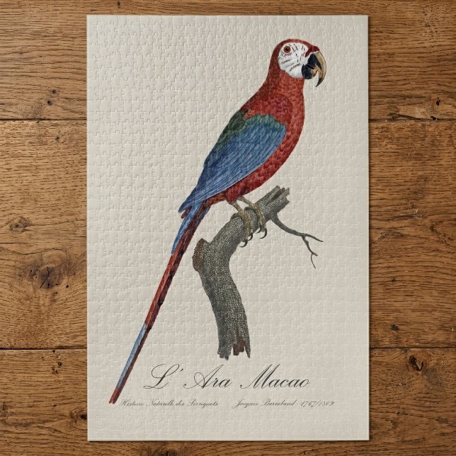 Red-and-green Macaw, Ara chloropterus Jigsaw Puzzle (Red-and-green Macaw, Ara chloropterus. Jigsaw Puzzle)