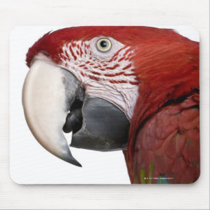 Red-and-green Macaw - Ara chloropterus Mouse Pad