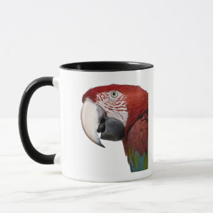 Red-and-green Macaw - Ara chloropterus Mug