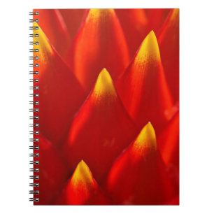 Red and green plant in close up photography notebook