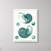 Red and Green Seashell Art