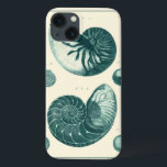 Red and Green Seashell Art iPhone 13 Case<br><div class="desc">Artist Denis Diderot is talented and known for his great sea life images. In this vivid image, he captures two red and green crackled Conch seashells in their most natural style. Conches are often crackled like these two seashells and in a sepia looking tone. Get your seashell product today and...</div>