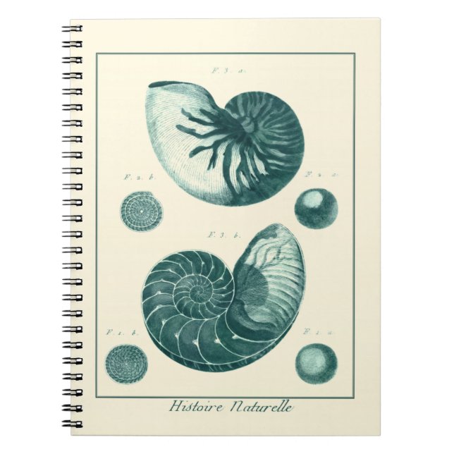 Red and Green Seashell Art Spiral Notebook (Front)