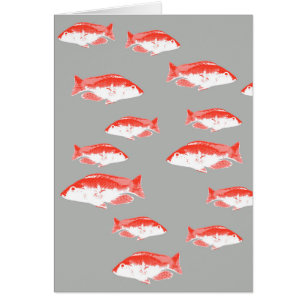 Red and grey fish