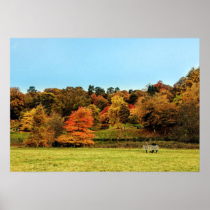 red and orange autumn landscape  poster
