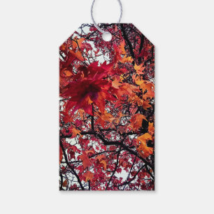 Red and orange leaves gift tags