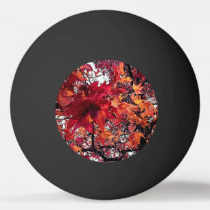 Red and orange leaves  ping pong ball