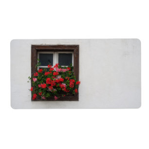 Red And Pink Pelargonium