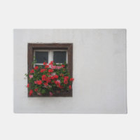 Red And Pink Pelargonium