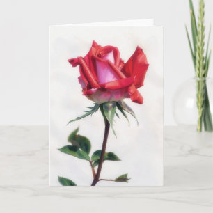 Red and Pink Rose Flower Art Note Card
