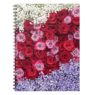Red and Pink Roses with Colourful Gypsophila Notebook
