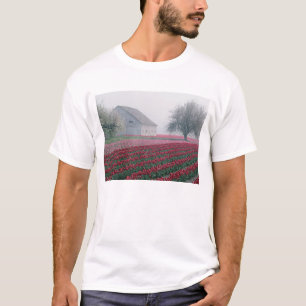 Red and pink tulips greet the day on a misty T-Shirt