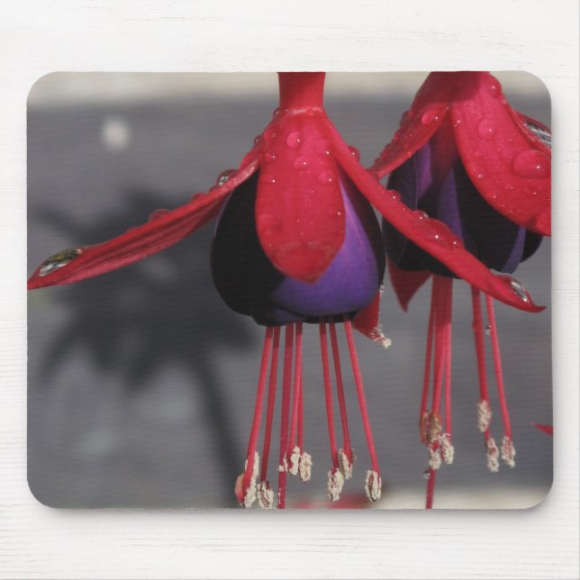 Red and purple Flower with raindrops Mouse Pad (Front)
