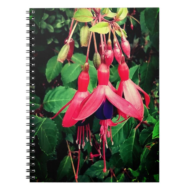 Red and purple flowers notebook (Front)