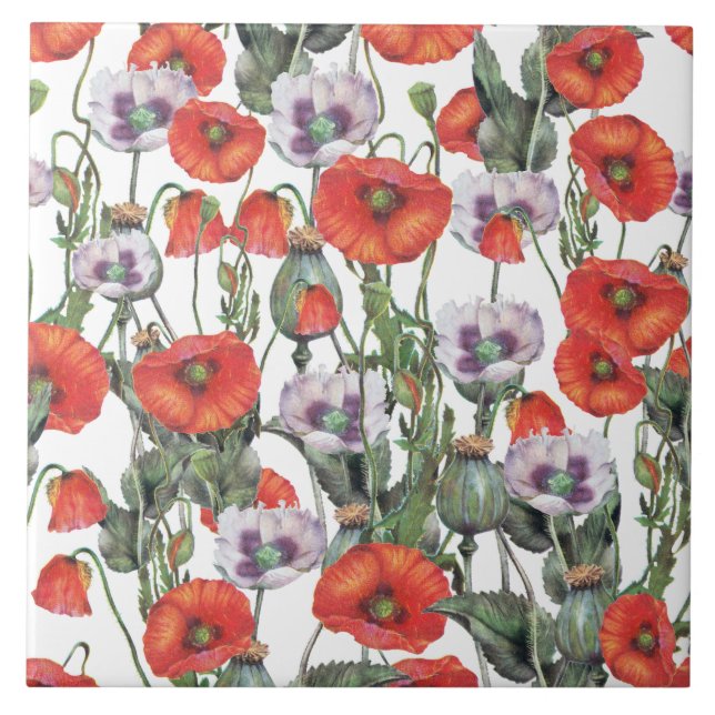 Red and Purple Poppies Pattern Tile (Front)