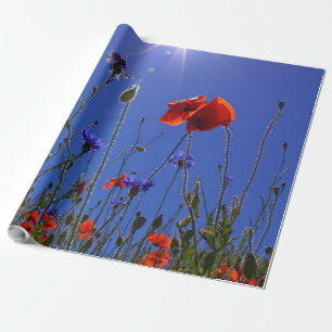 red and purple roses embracing a blue sky and sun wrapping paper