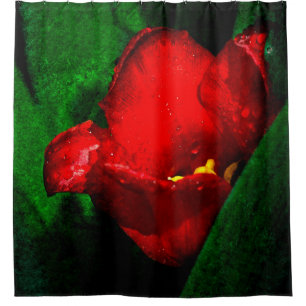 Red And Wet Tulip Flower Shower Curtain