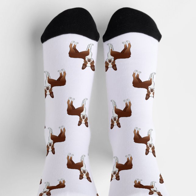 Red And White Boston Terrier Cartoon Dog Pattern Socks (Top)