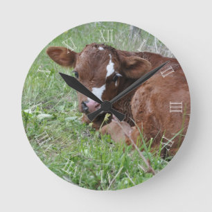 Red and white calf round clock