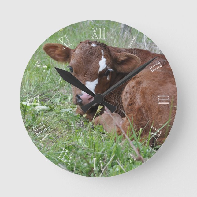 Red and white calf round clock (Front)