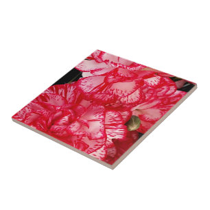 Red and White Carnations-CERAMIC TILE