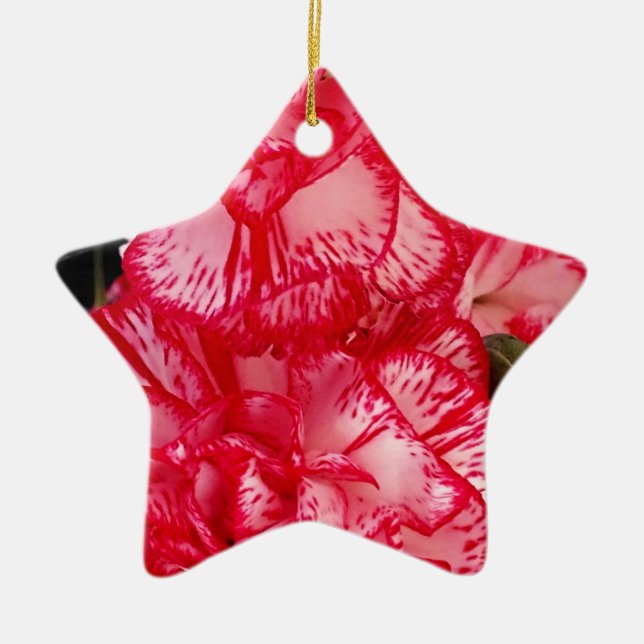 Red and White Carnations-STAR ORNAMENT (Front)