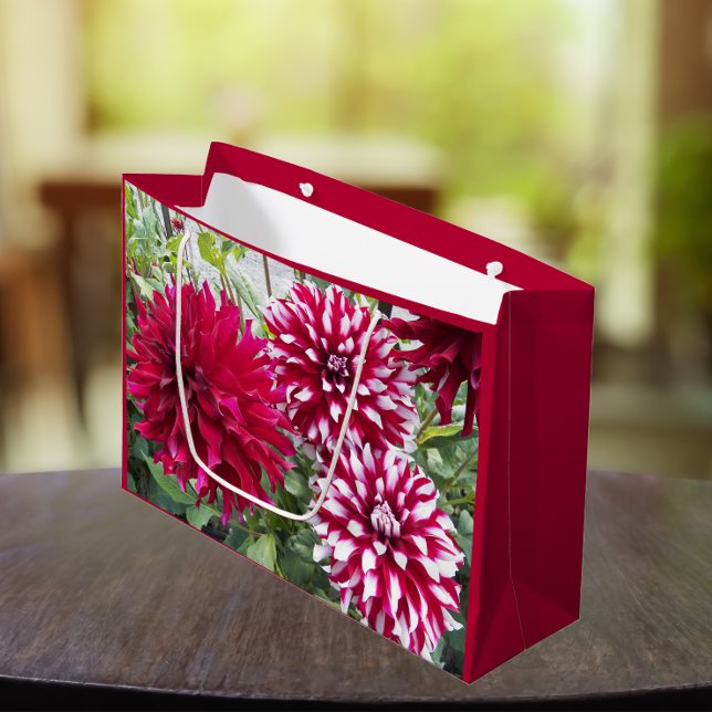 Red and White Dahlias Floral Large Gift Bag (In Situ)