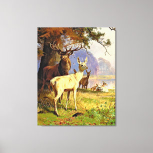 Red And White Deer Near A Forest Pond Canvas Print