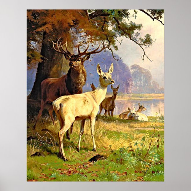 Red And White Deer Near A Forest Pond Poster (Front)