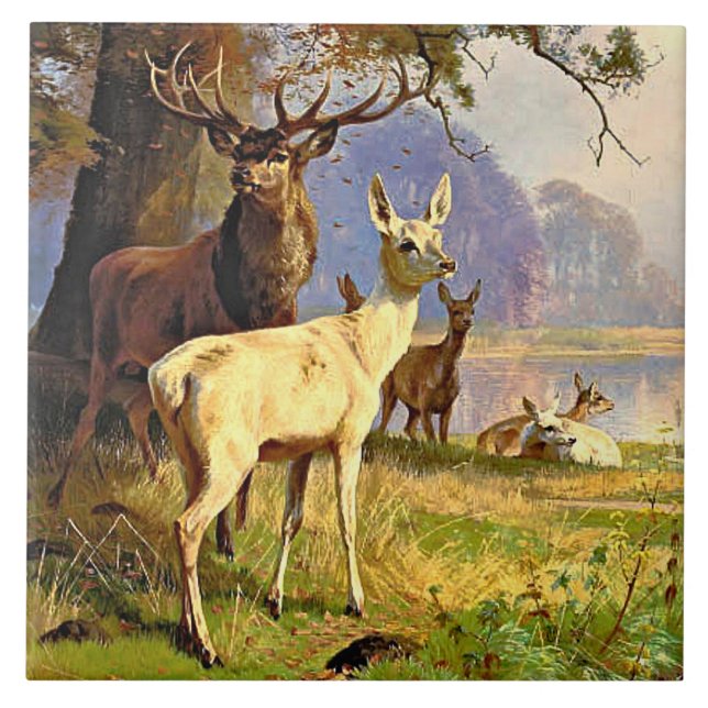 Red And White Deer Near A Forest Pond Tile (Front)