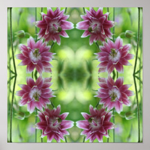 Red And White Flower Pair Abstract Art Poster