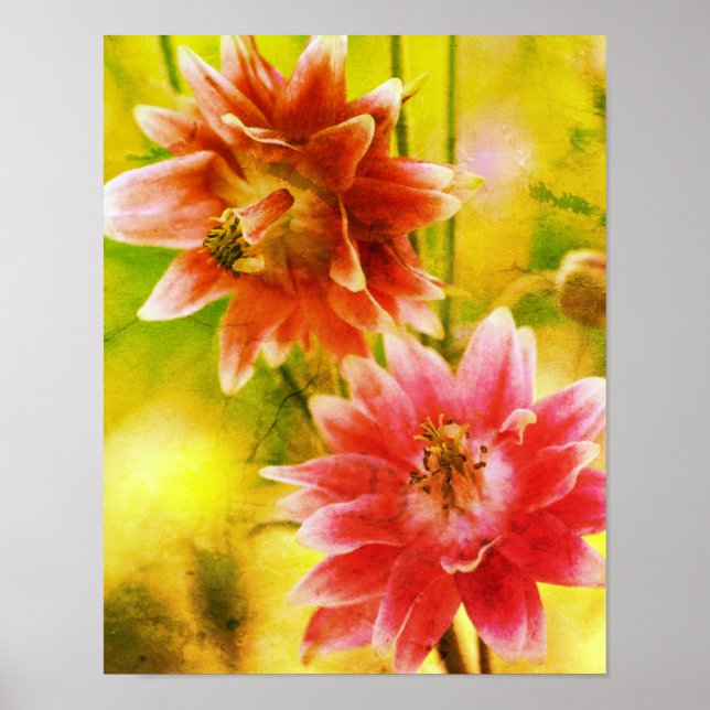 Red And White Flower Pair Distressed Art Poster (Front)