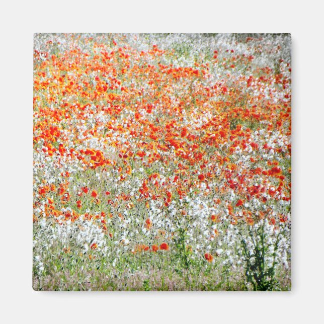 Red and White flowers  coaster Magnet (Front)