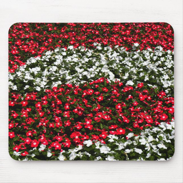 Red and White Flowers  Mouse Pad (Front)
