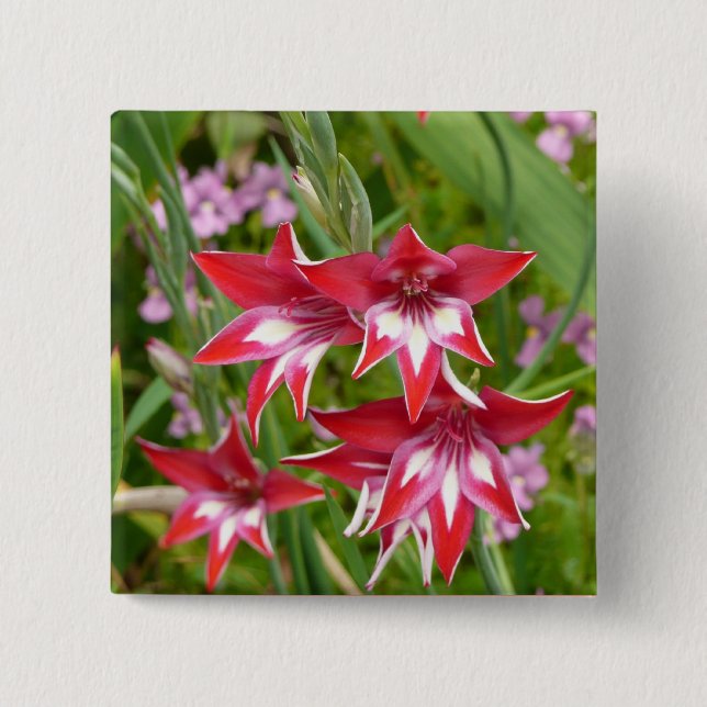 Red and White Gladiolas Summer Botanical 15 Cm Square Badge (Front)