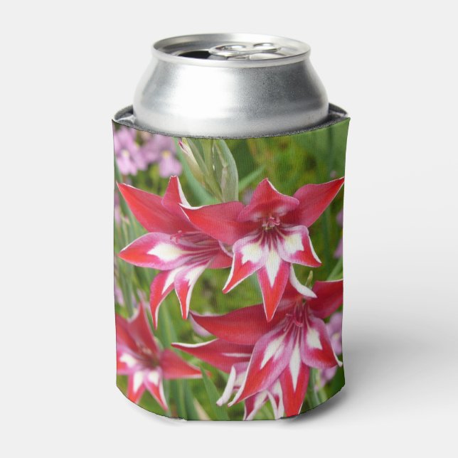 Red and White Gladiolas Summer Botanical Can Cooler (Can Front)
